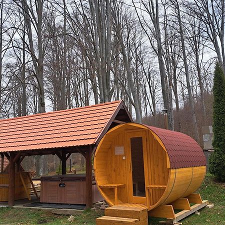 Sebesvi­z Panzió Acomodação com café da manhã Repashuta Exterior foto